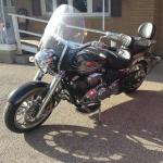 mosey1100