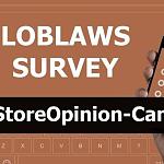 storeopinioncom