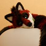 Foxy