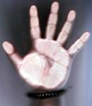 wildan_w2