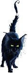 blackcat4866's Avatar